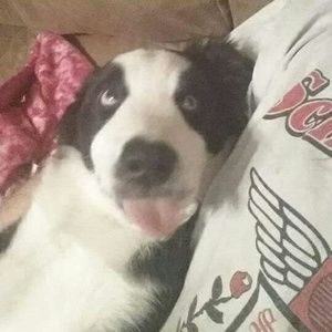 Meet your Posher, Scott